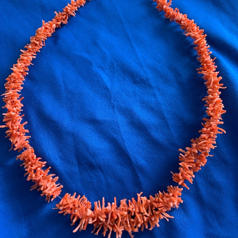 Coral Necklace
